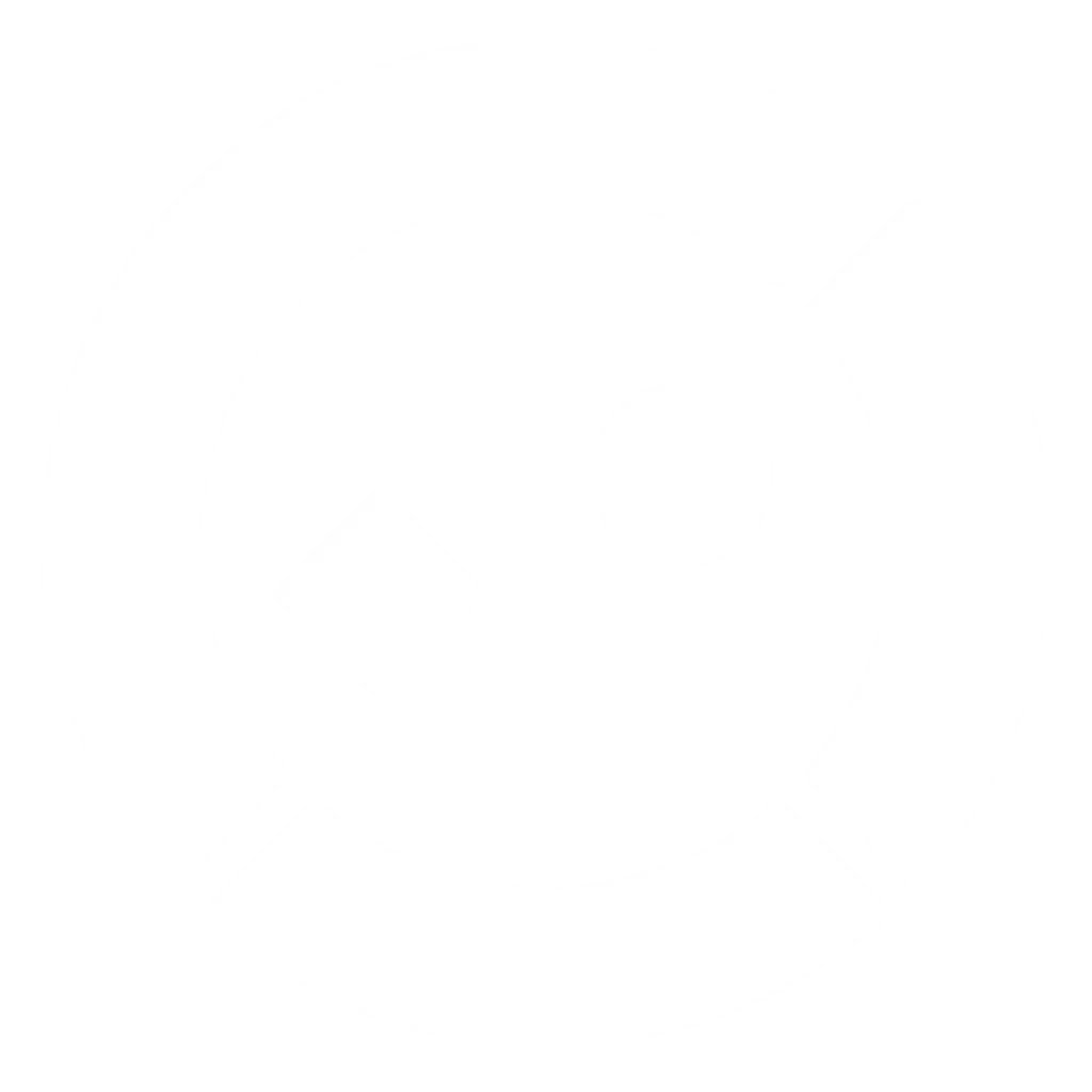 FLUXO DIGITAL